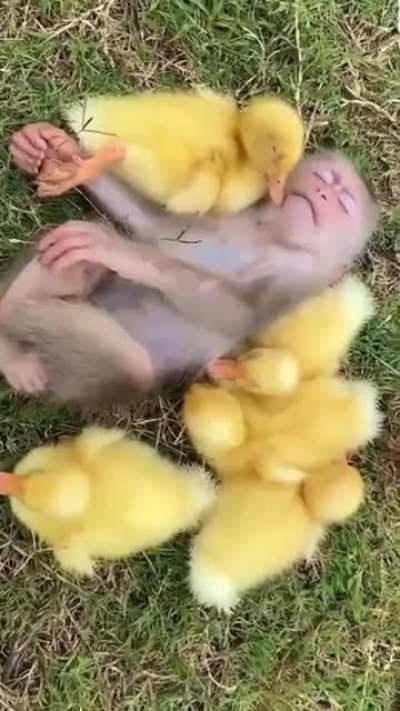 Cuteness Overload! ??+?♥️