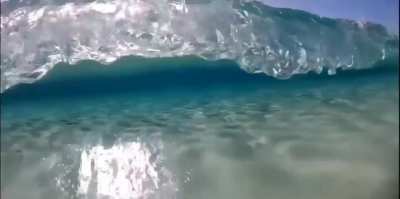 ? Translucent Wave
