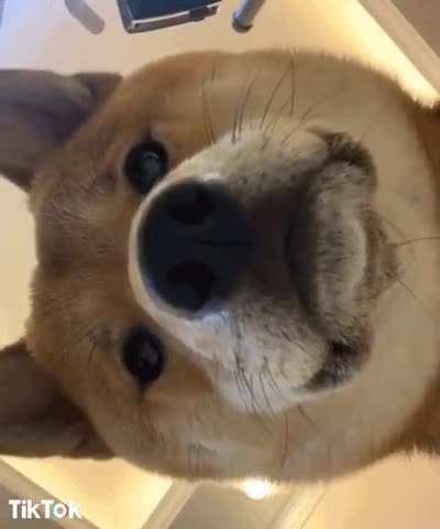 Who's there? I'm here.