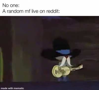 This or a random cat