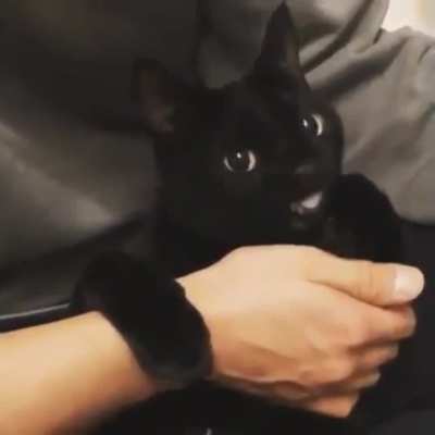 Toothless is that you? ?‍?