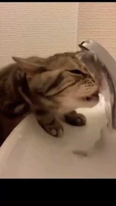 To drink water