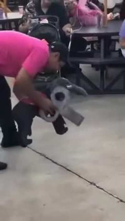 Dog in Elephant Costume