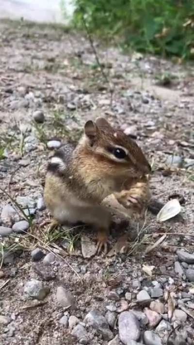 Maybe Maybe Maybe