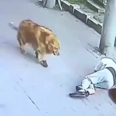 8 lives left