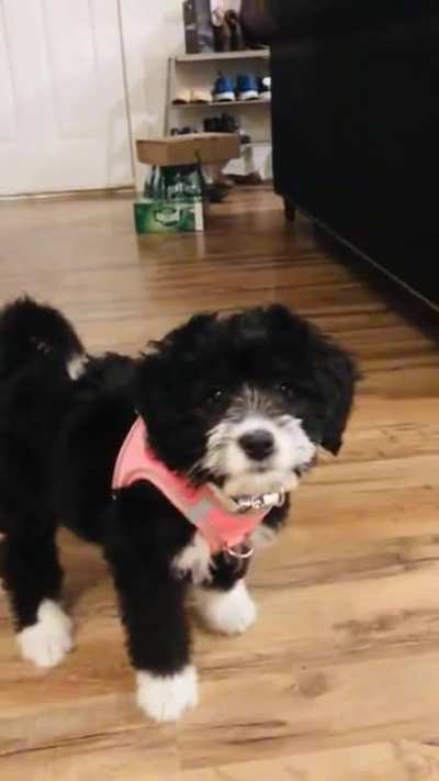 Sophie Says No!