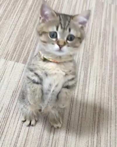 "Uhh.. hi?"