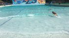 Hate to be a 1upper, but Doggo Wave pool party was today.