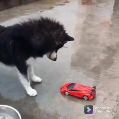 What kind of car is this?