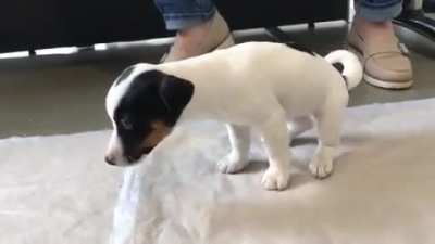 Maybe Maybe Maybe