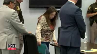 African Grey Parrot is a key "witness" in a murder trial