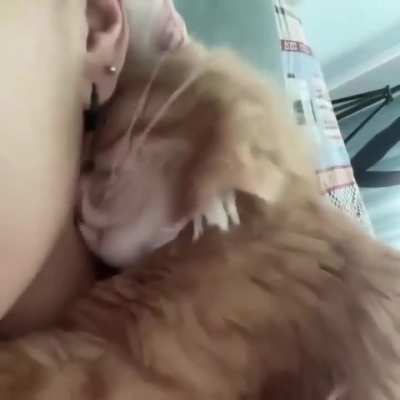 A fur ball and endless love ?