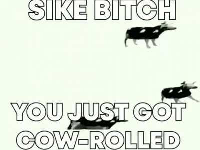 It's a Rick Roll! Don't!!
