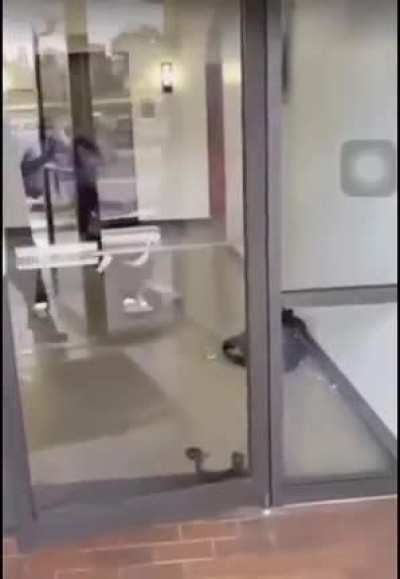 Win stupid prizes when you fight with a real n****
