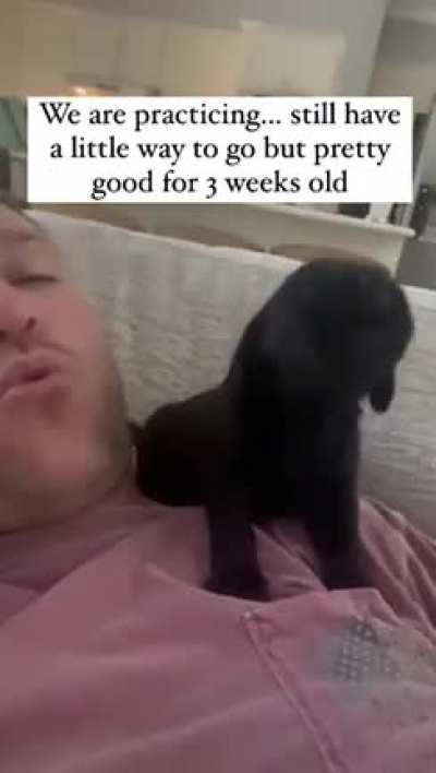 The smallest awooo ?