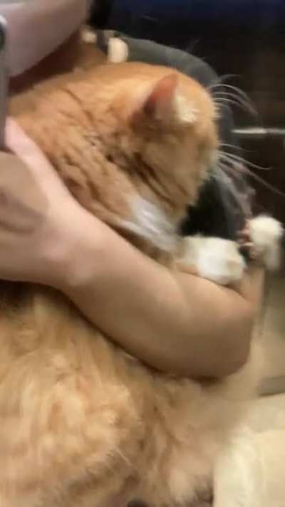 Quite possibly the cutest video I’ve ever taken. He gets scared when we ride elevators so he hugs me ?