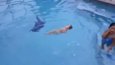 Drowning is the number one leading cause of injury-related deaths in infants and children under the age of five. They can start learning how to swim as young as 6-months of age. Here's a 12 month old swimming across a pool
