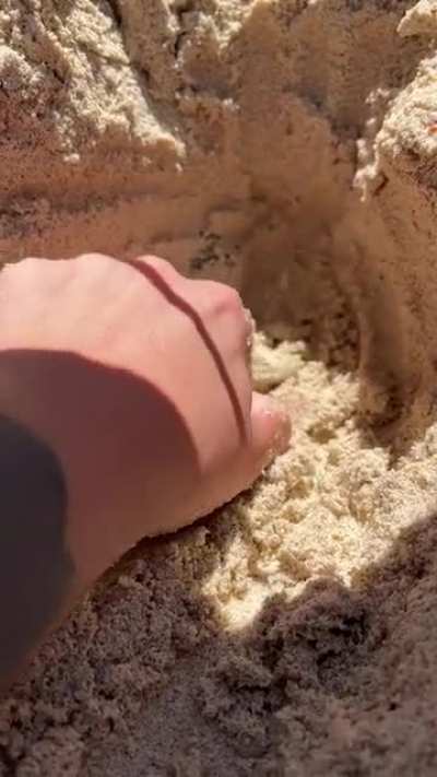 digging for treasure and the beach...