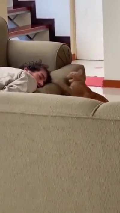 A rude awakening