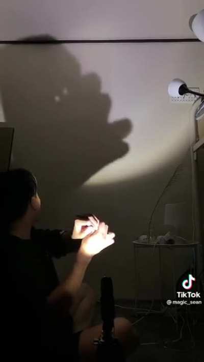 Epic shadow shanty