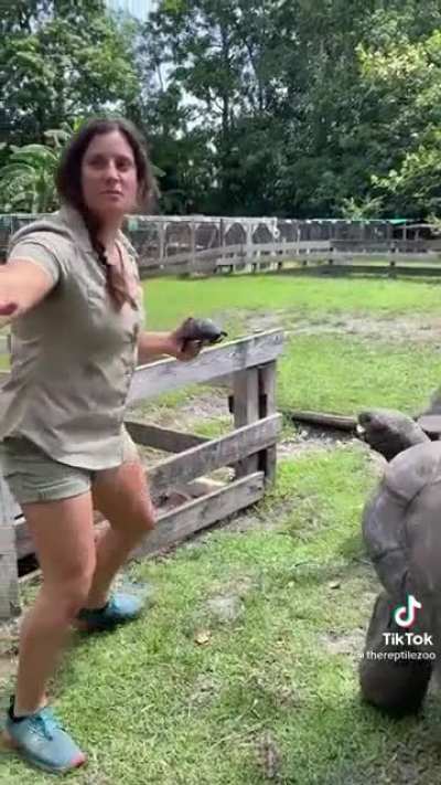 Absolute units