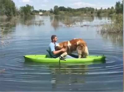 dog flip