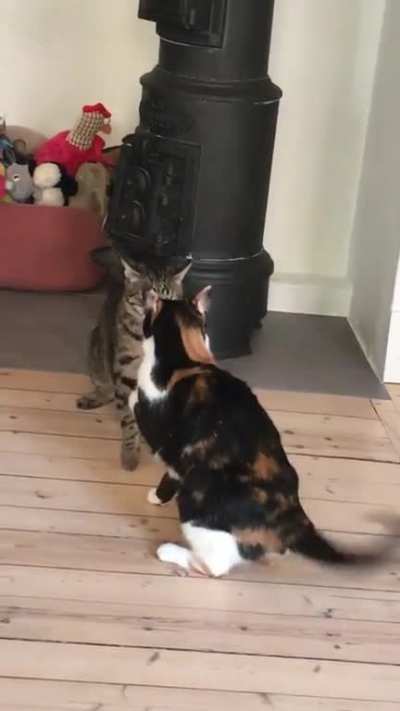 A proper fucking slam right there