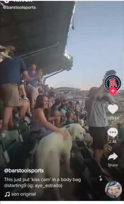 Introducing Simba Cam.