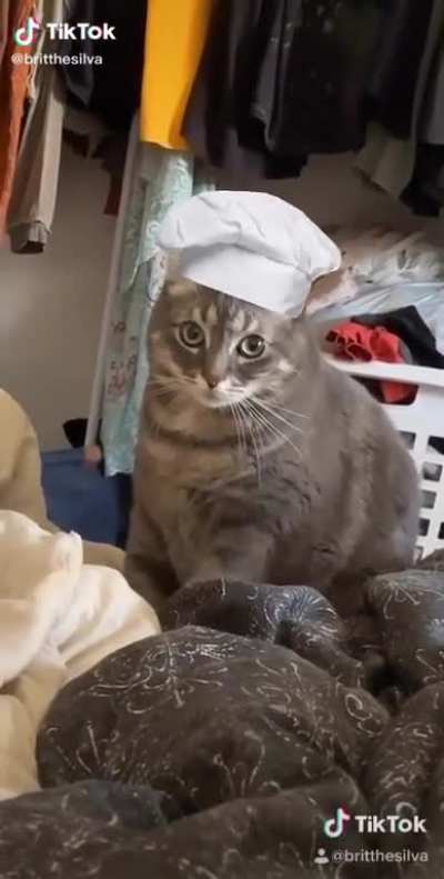Meow?irl