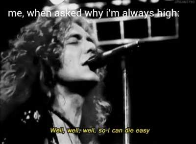 bonzo was drunk. same difference.