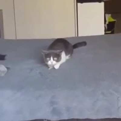 A very spooky bed