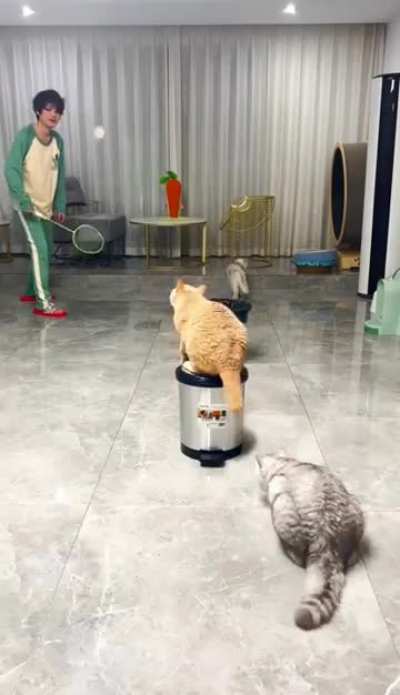 Maybe Maybe Maybe
