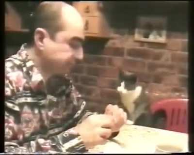 Deaf man's cat realising that meowing is useless so started communicating using Signs
