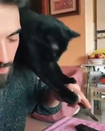 Your food is already mine