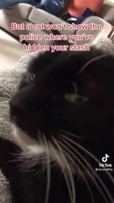 Snitches get stitches ?