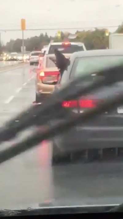 Doggo trying to catch the rain