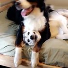 BFF’s