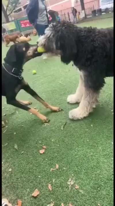 maybe maybe maybe