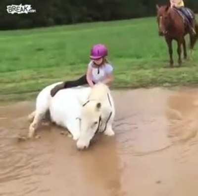 Horse meet mud puddle