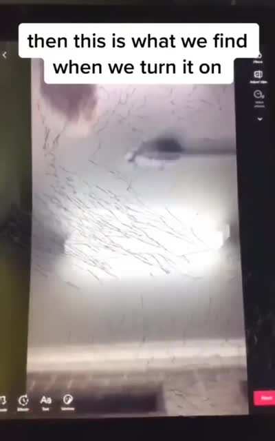 "I just dropped it"