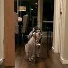 Wait for It,??
