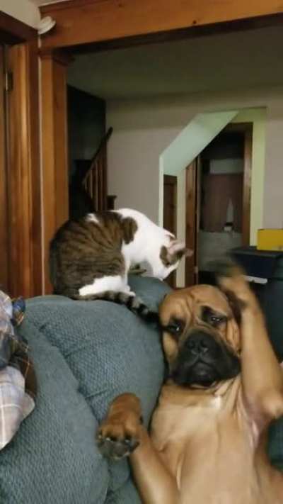 My boys just being generally adorable.