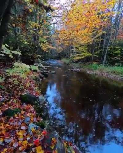 ? Autumn in Vermont