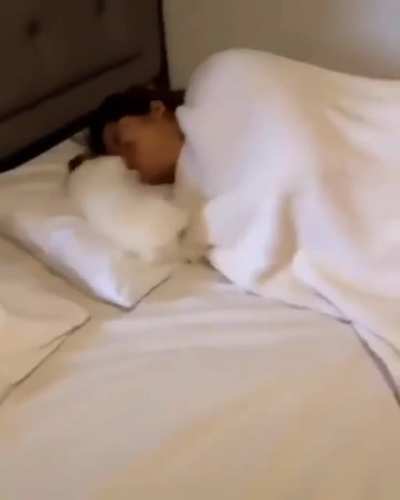 The best Monday morning alarm clock ?