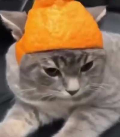 Akpurr the Great
