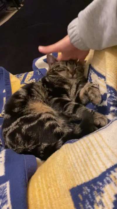 *Squish*