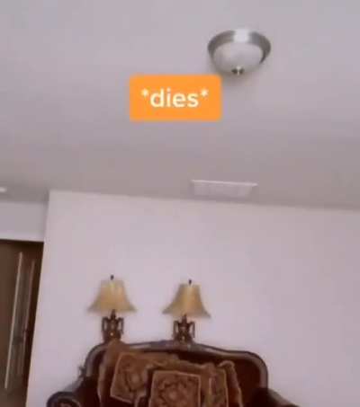 Bruh