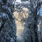 ? Yosemite National Park in Winter