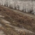 3 kids floating down a river on ice