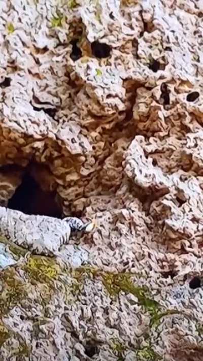Nature is scary